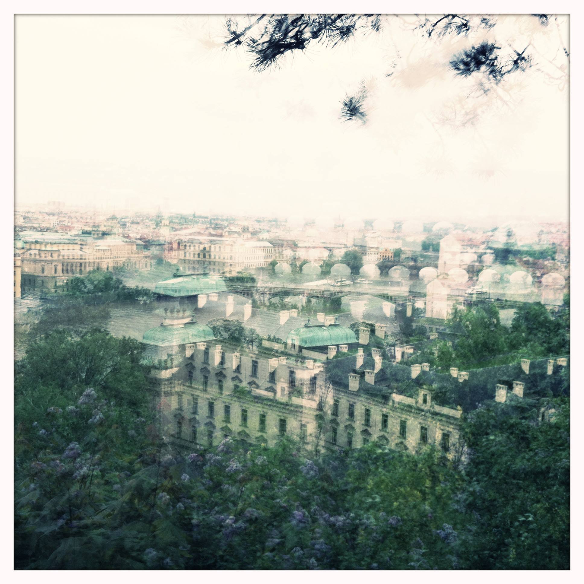 Vision photography - Image 9