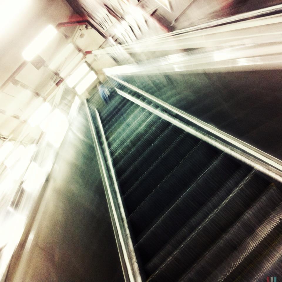 Vision photography - Image 11